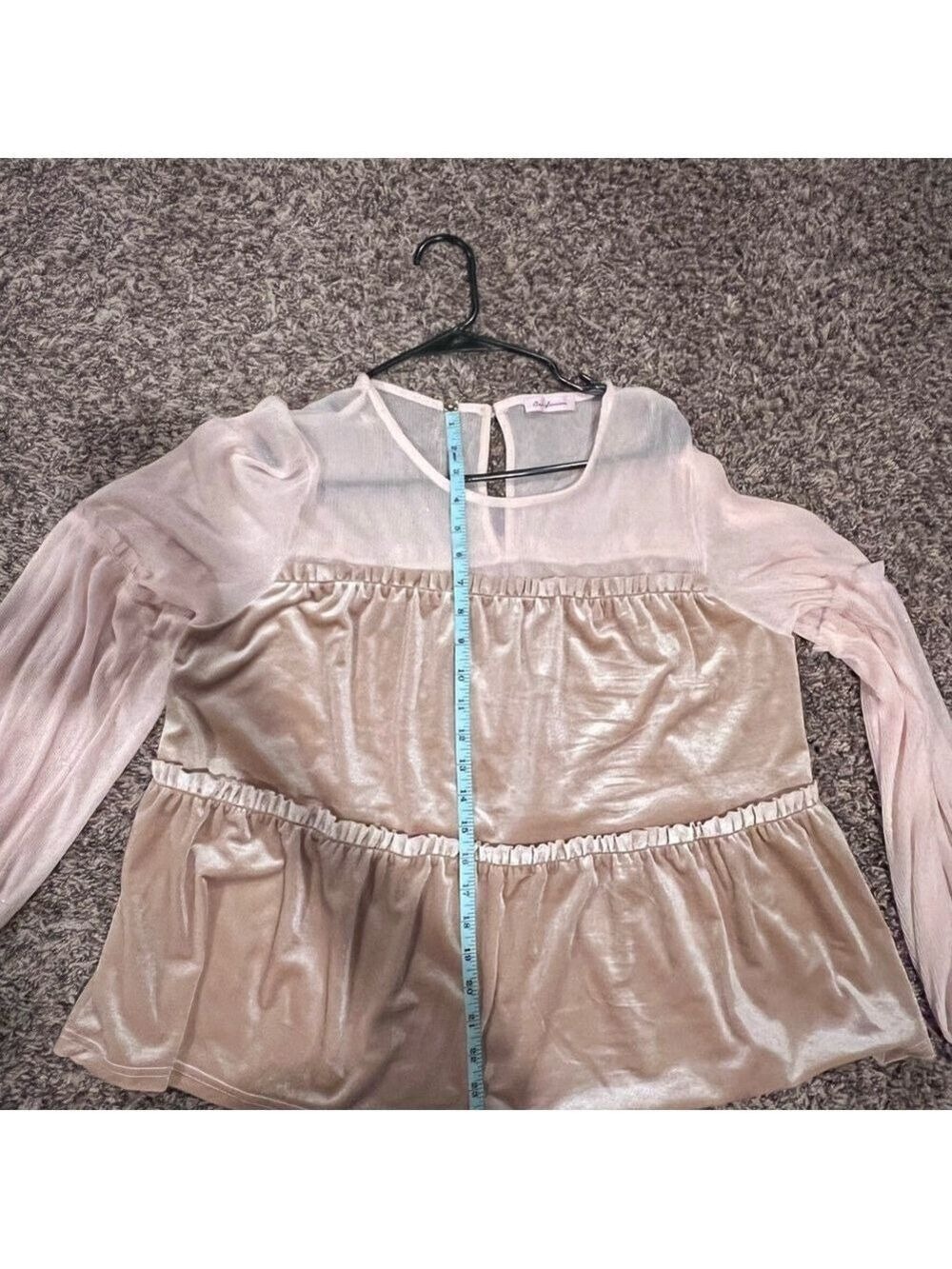 Sheer/Velvet Tan Layered Top - Picture 4 of 7